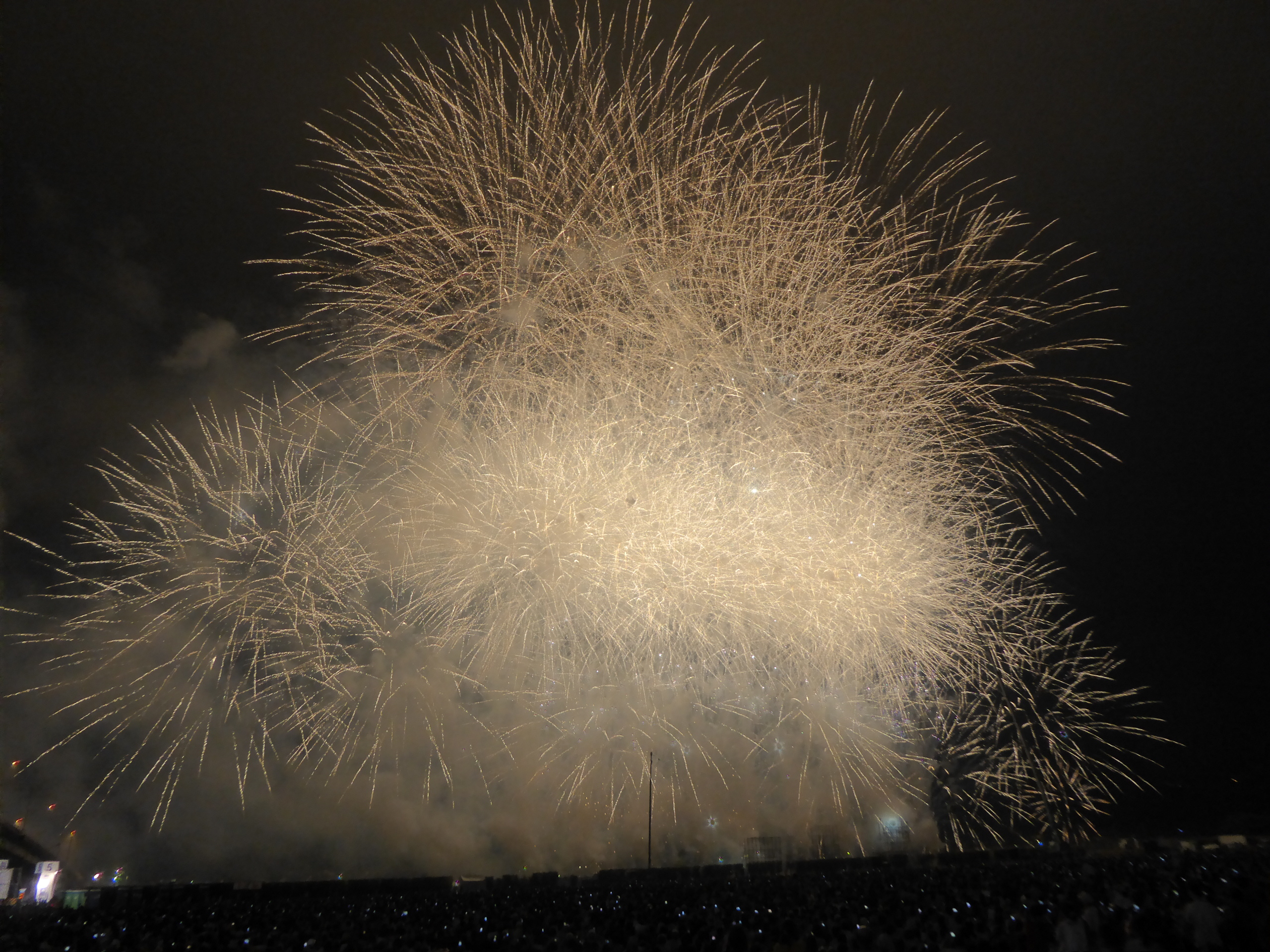 P1090728.JPG
