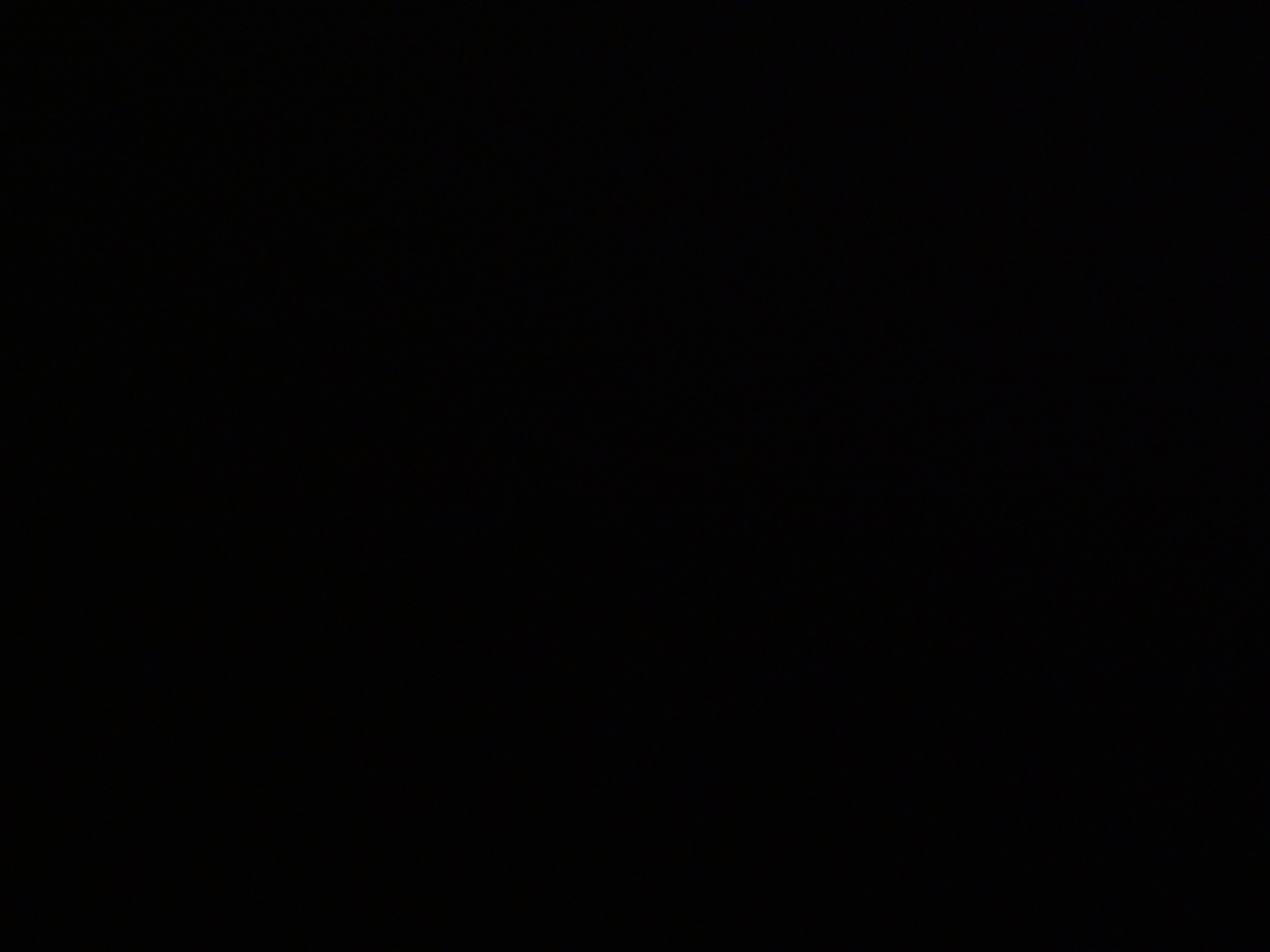 P1090730.JPG