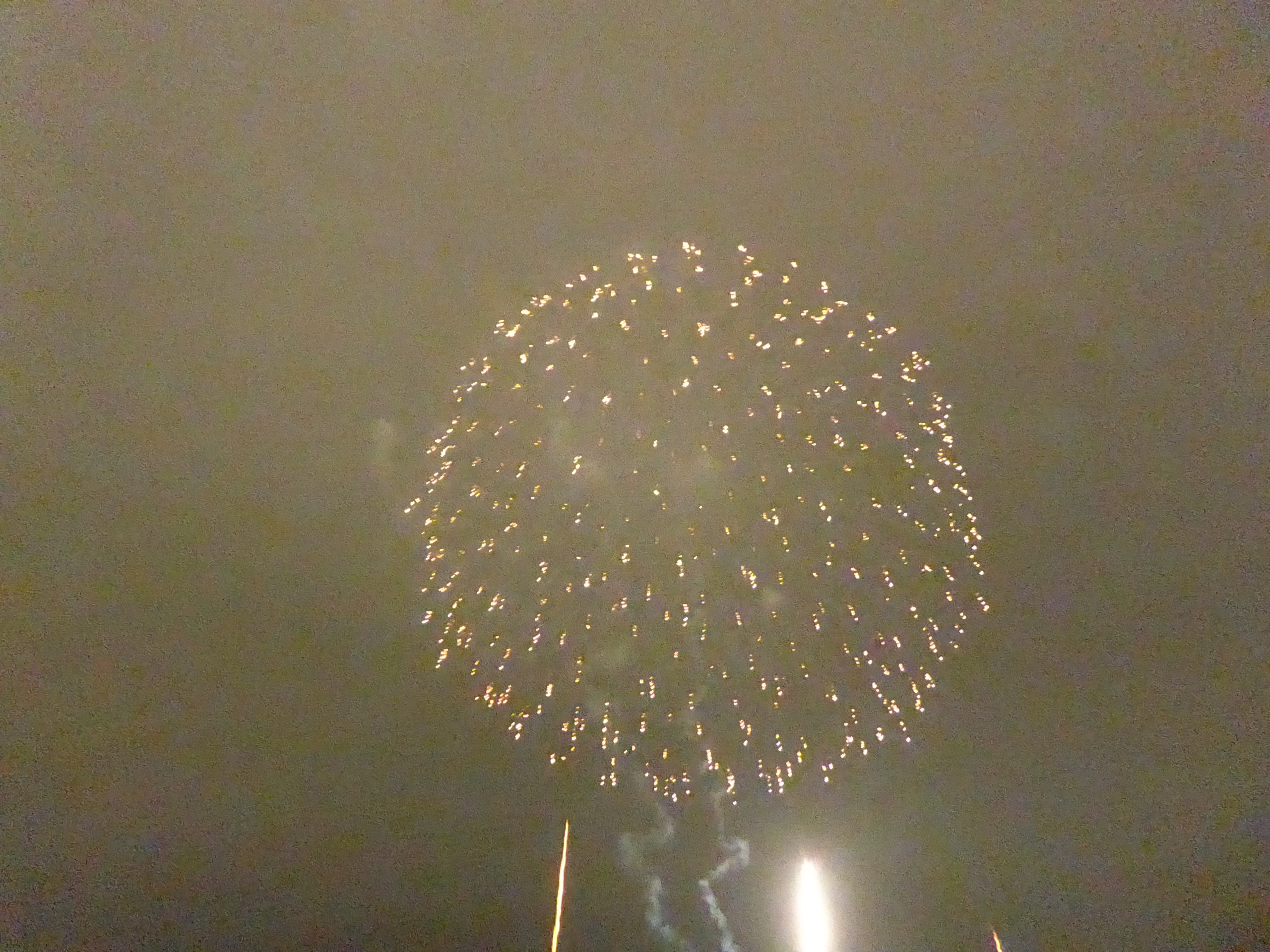 P1090733.JPG