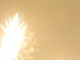 img0129.jpg