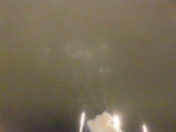 img0316.jpg