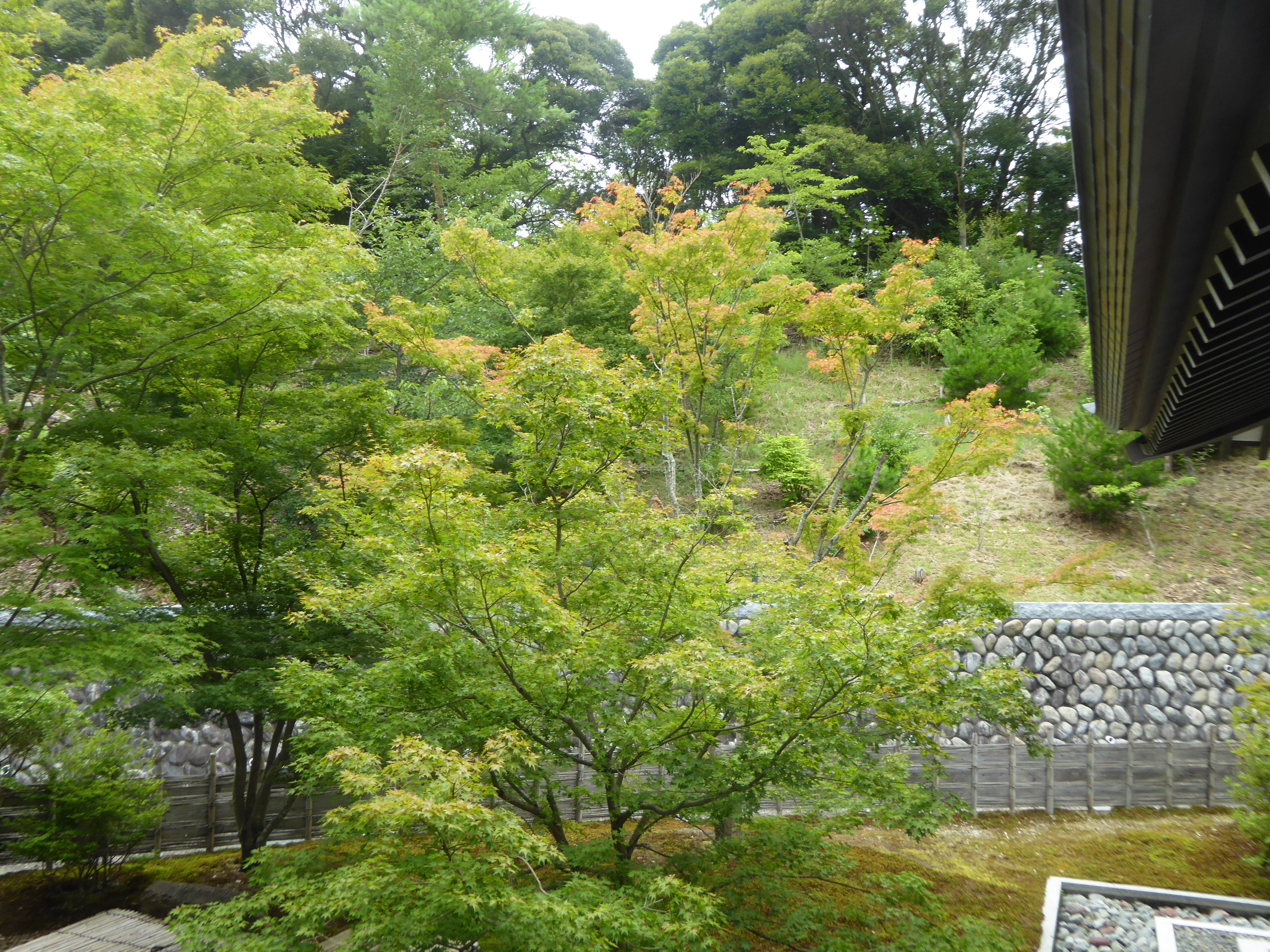 P1090785.JPG