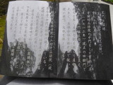 img0009.jpg