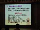 img0029.jpg