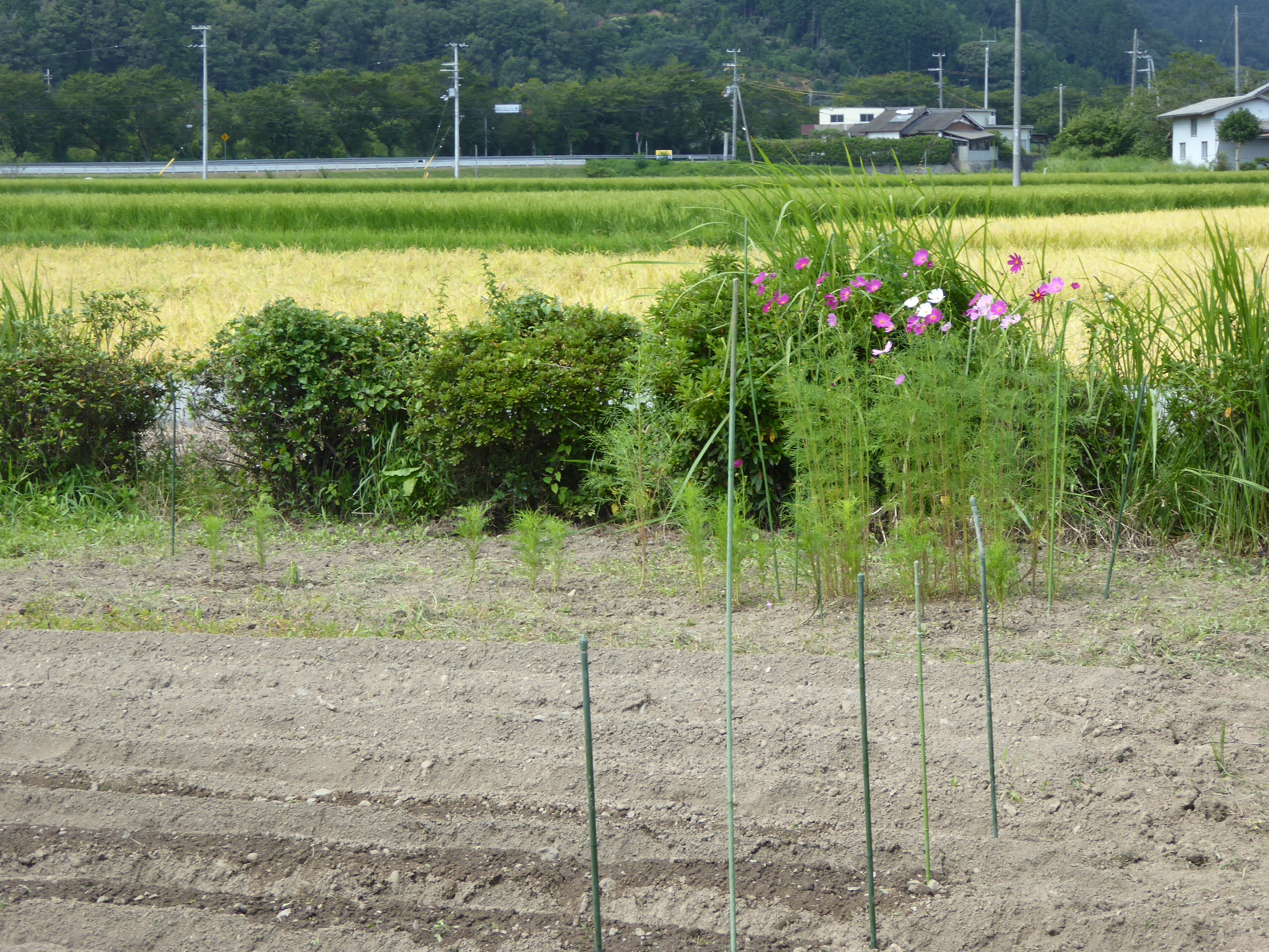 P1090921.JPG