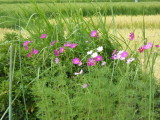 img0002.jpg