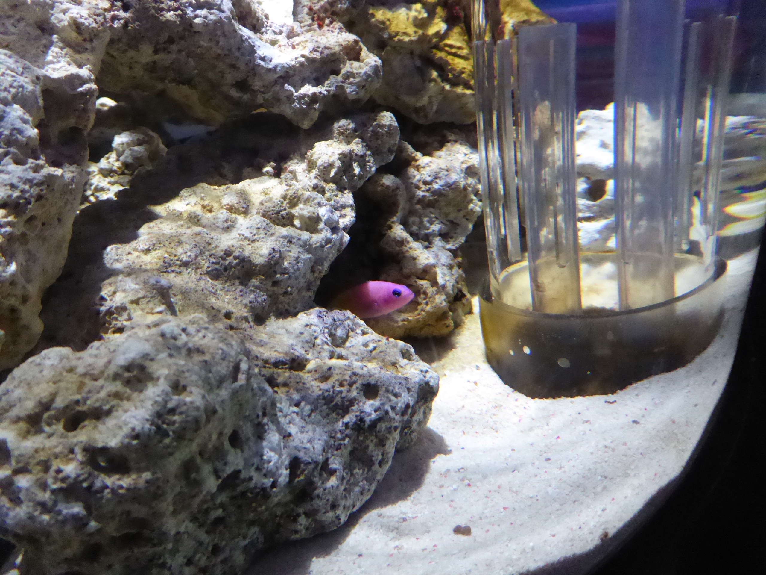 P1090931.JPG