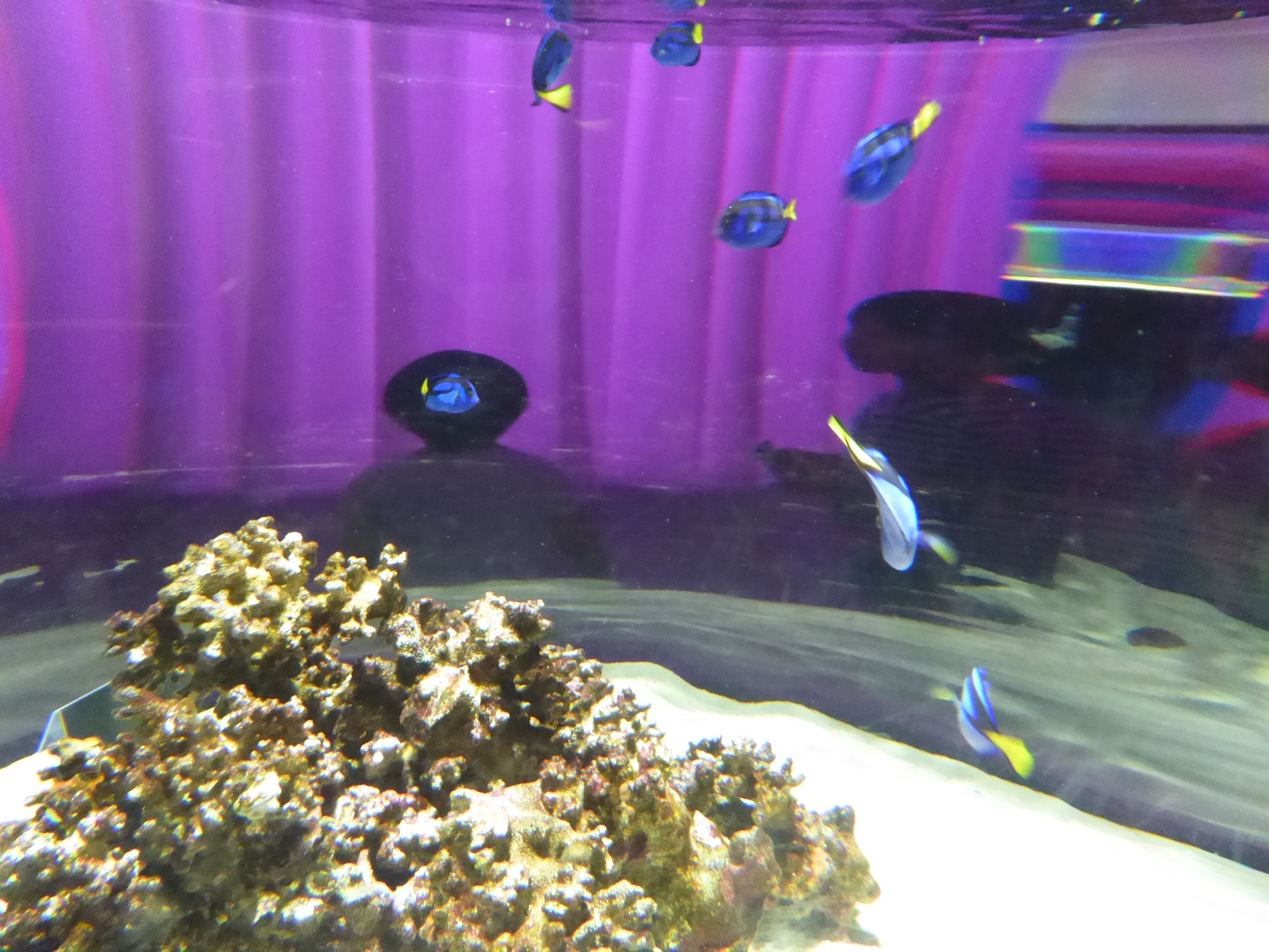 P1090932.JPG