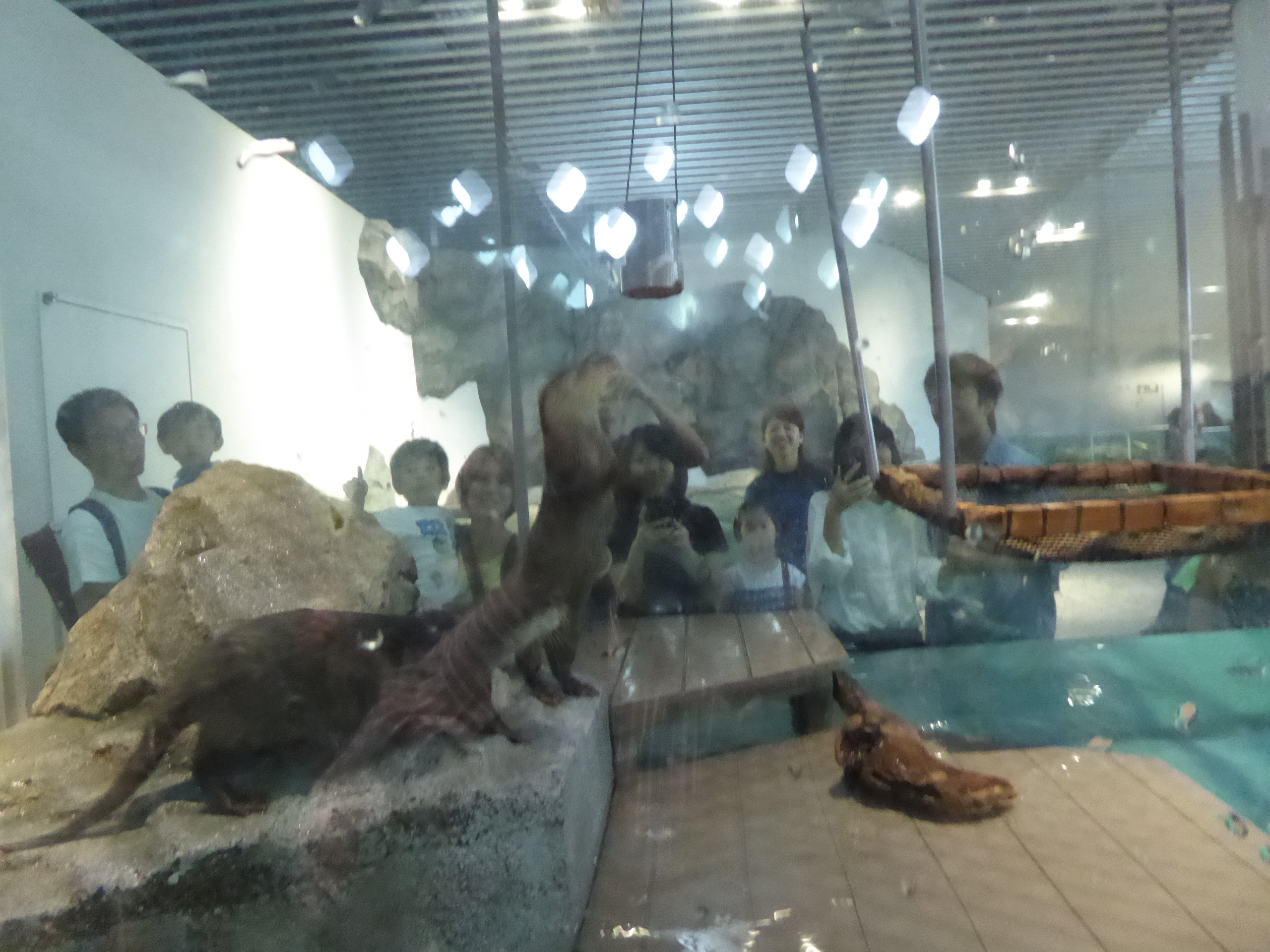 P1100002.JPG