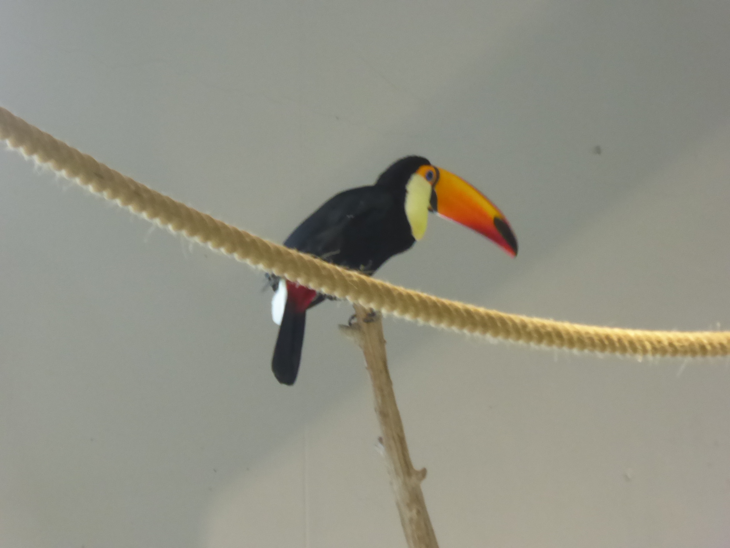 P1100006.JPG