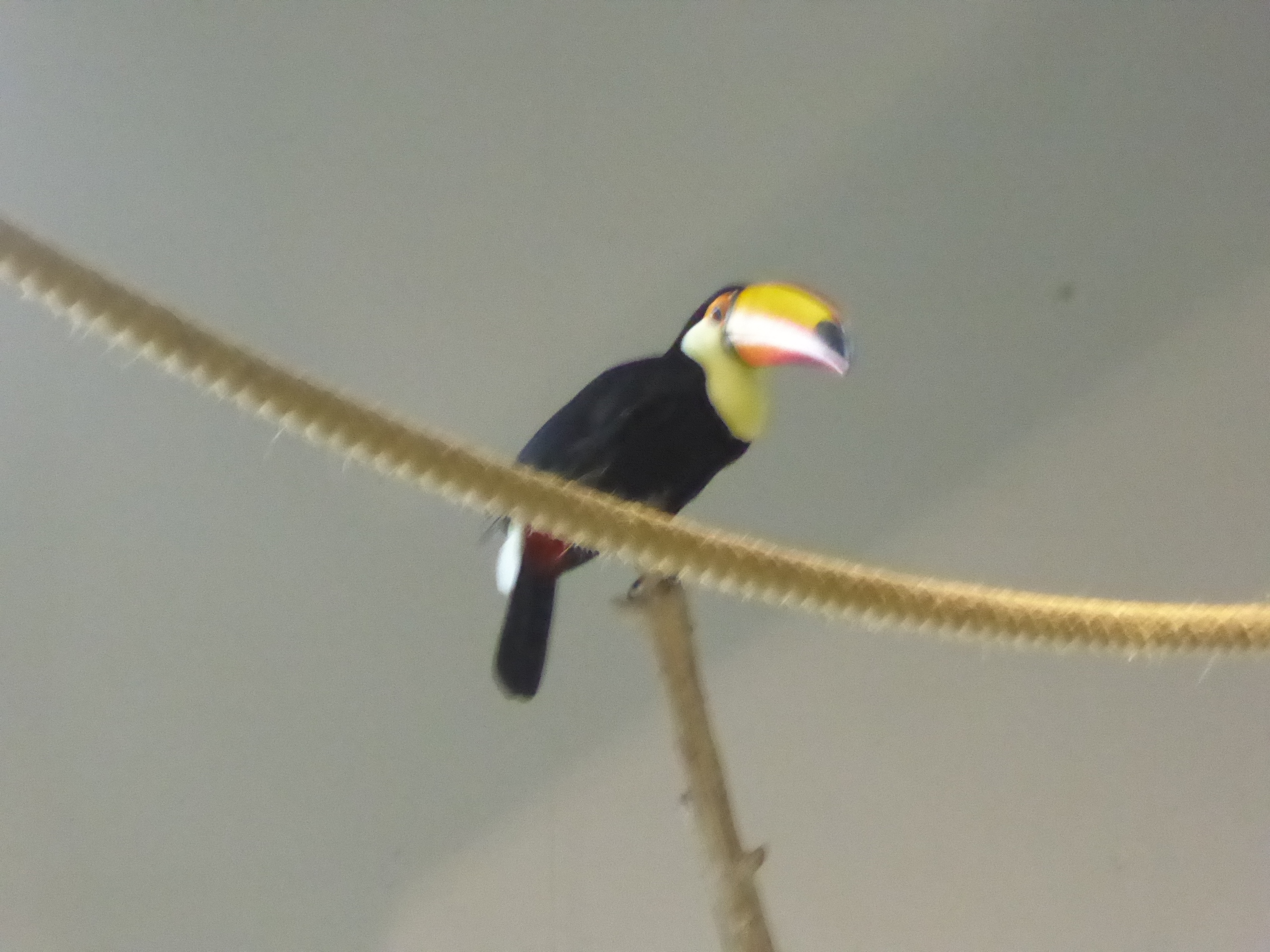 P1100007.JPG