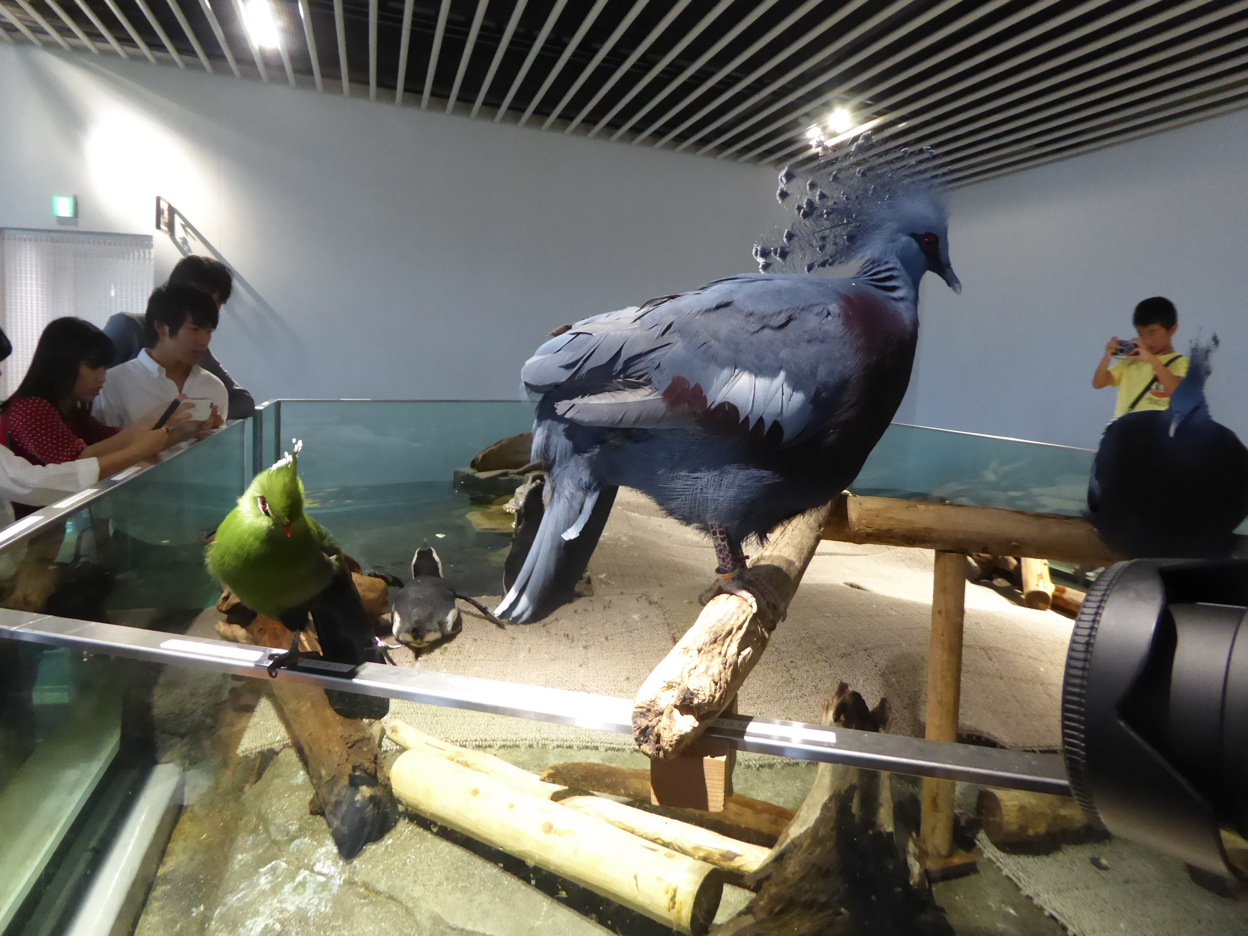 P1100009.JPG