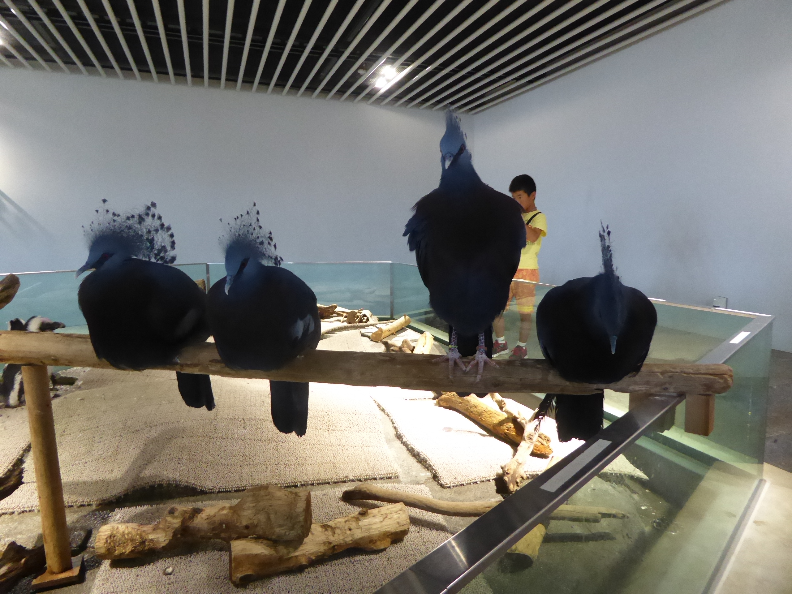 P1100010.JPG