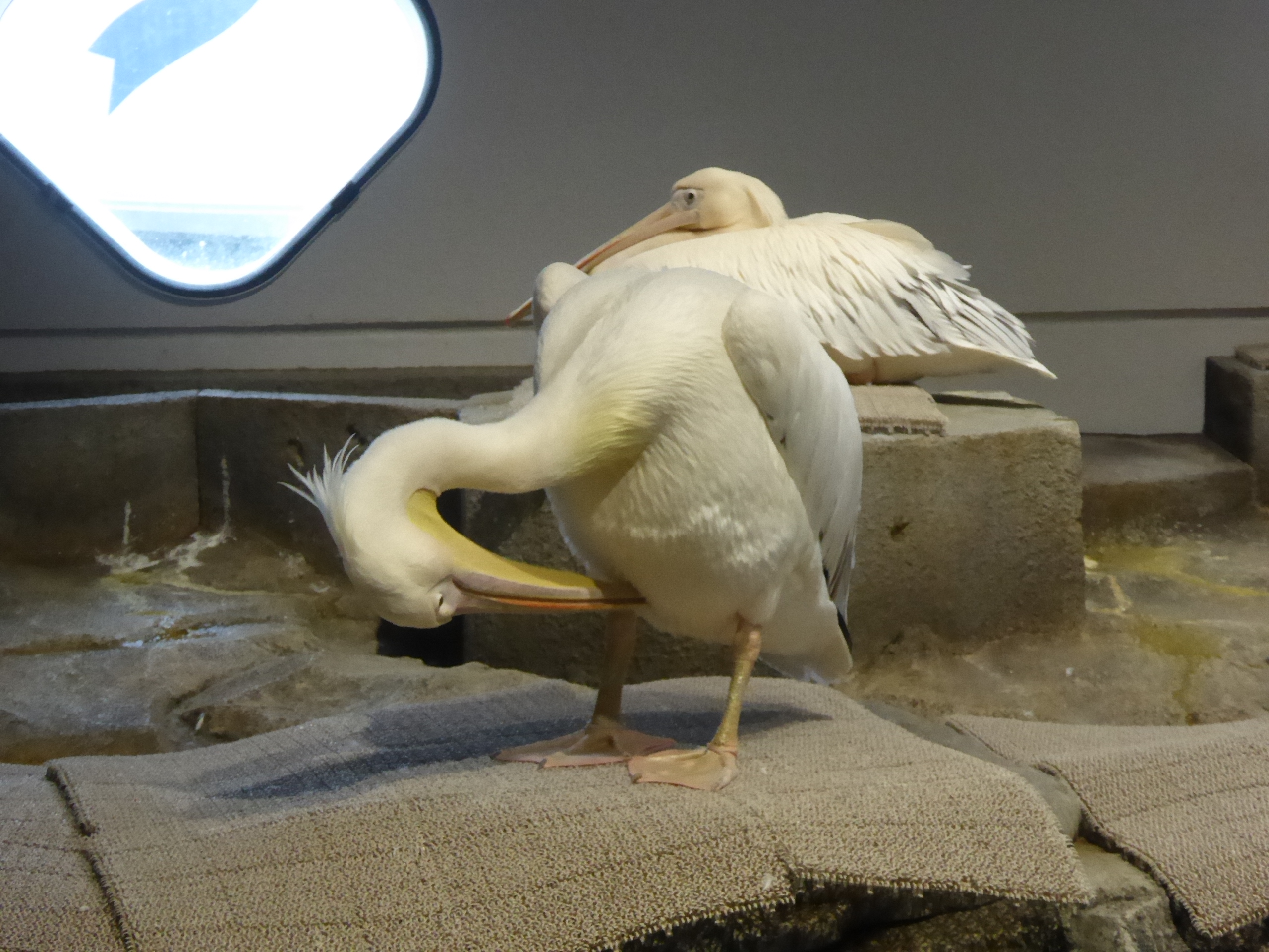 P1100011.JPG