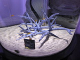 img0004.jpg