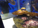 img0008.jpg