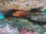 img0010.jpg