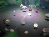img0011.jpg