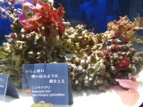img0019.jpg