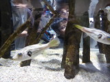 img0026.jpg