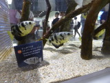 img0027.jpg