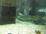 img0029.jpg