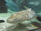 img0030.jpg
