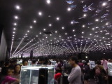 img0035.jpg