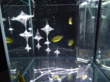 img0039.jpg