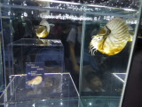 img0041.jpg