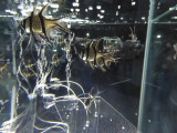 img0043.jpg