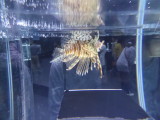 img0044.jpg