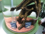 img0050.jpg
