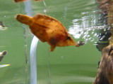 img0051.jpg