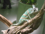 img0052.jpg