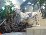 img0057.jpg
