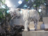 img0058.jpg