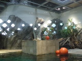img0059.jpg