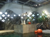 img0061.jpg