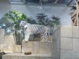 img0064.jpg