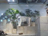 img0065.jpg
