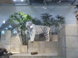 img0066.jpg