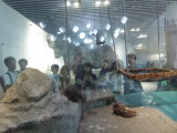 img0070.jpg