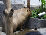 img0072.jpg