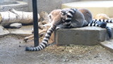 img0074.jpg