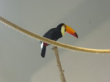 img0075.jpg