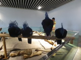 img0079.jpg