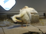 img0080.jpg