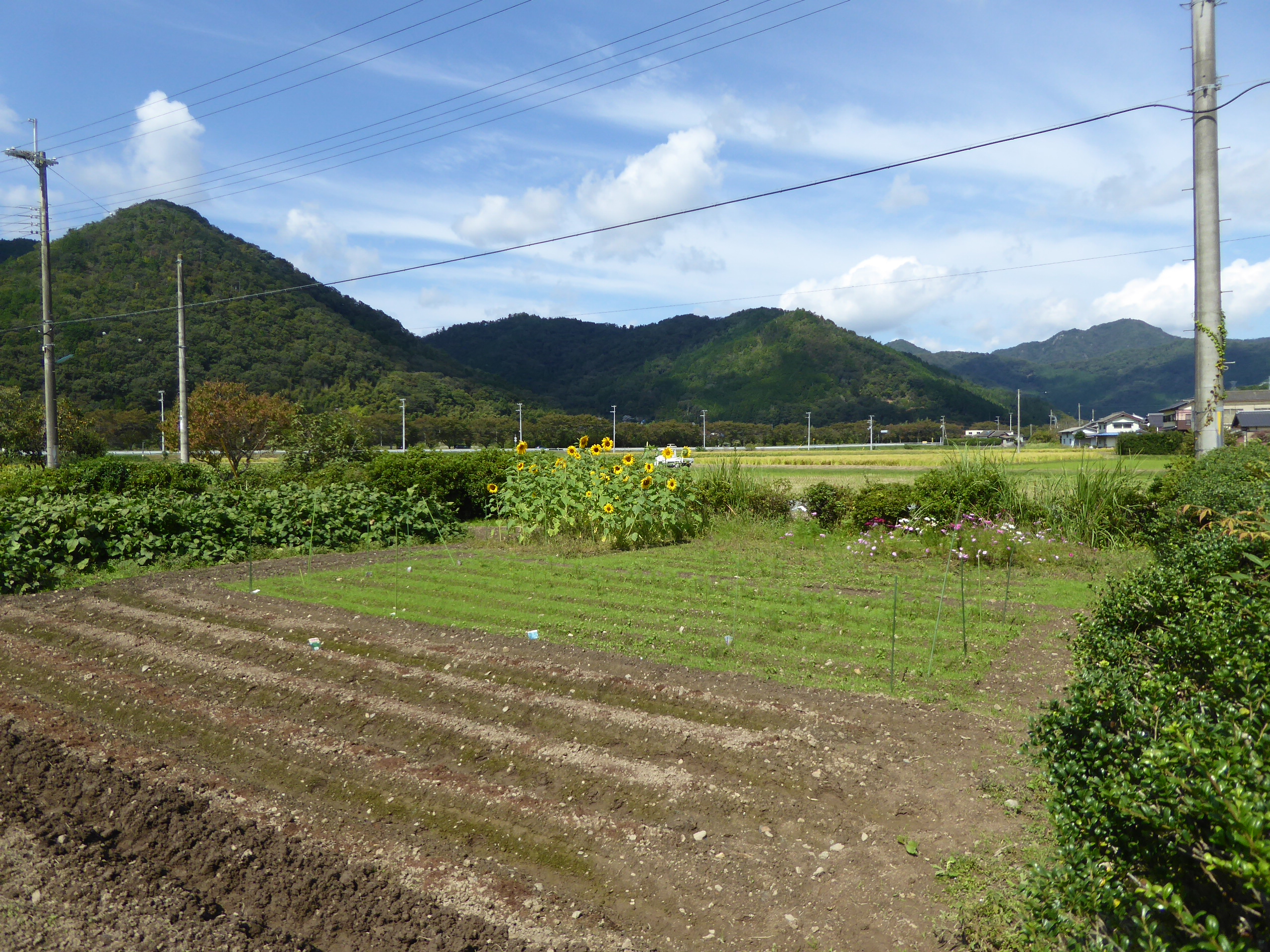 P1100020.JPG