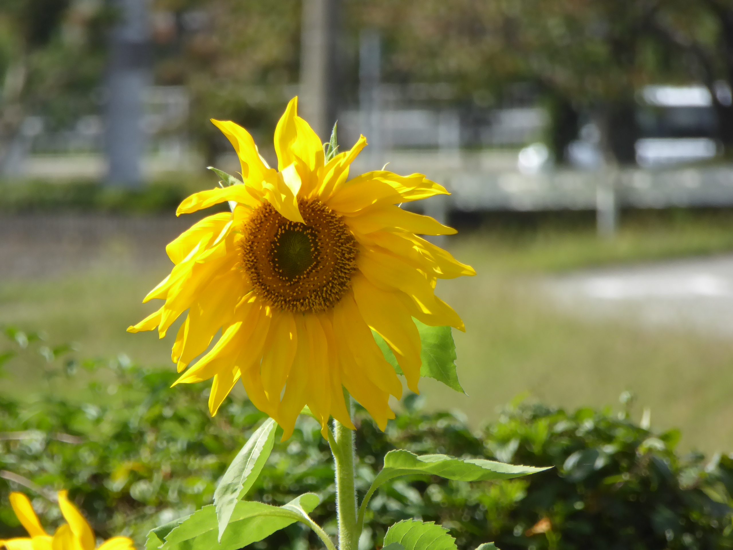 P1100035.JPG